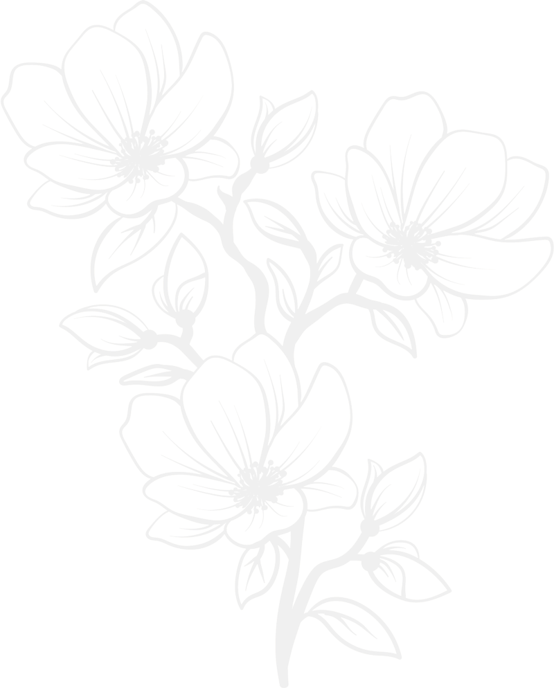 shape