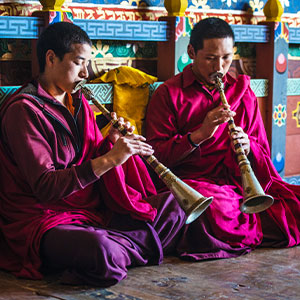 Festival Tours